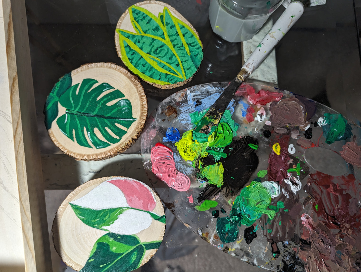 Hand-Painted Plant Coasters (Set of 3)